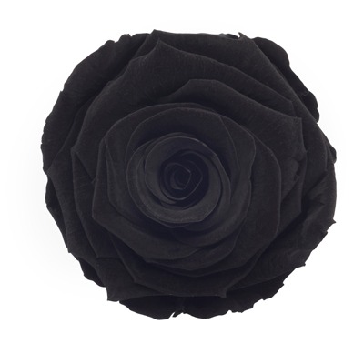 blackweb