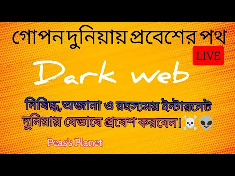 dark web live
